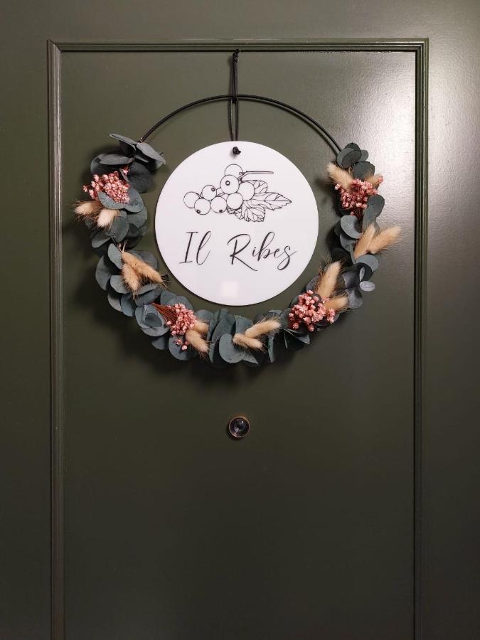 Residence Dei Frutti Pieno Centro - Il Ribes 帕多瓦 外观 照片